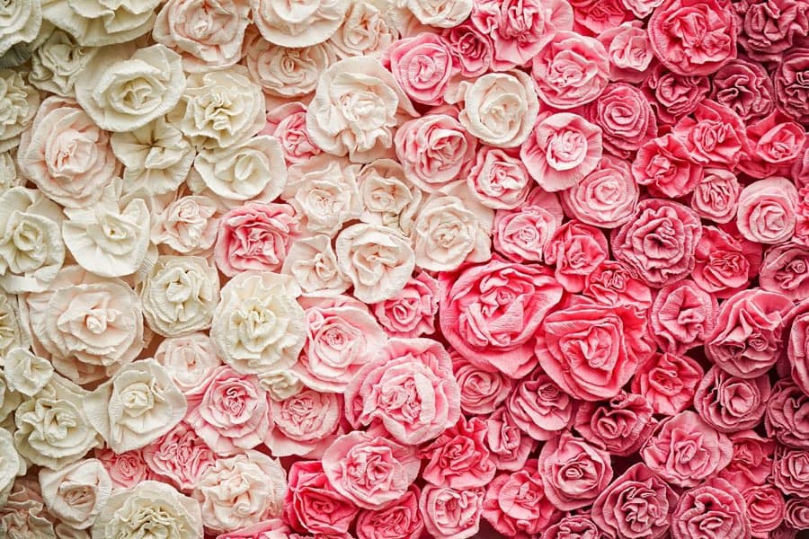 Giant Flowers (Set of 3)